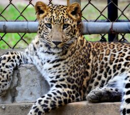 3_zoo_jedna_vstupenka