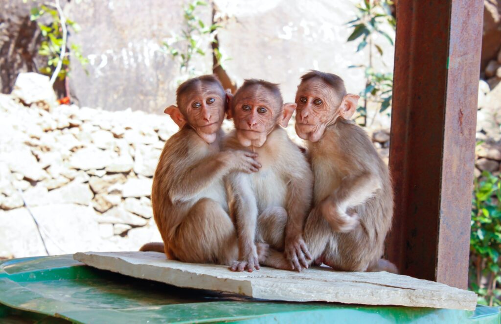 zoo_o_prazdninach