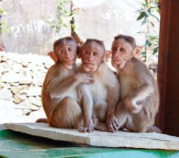 zoo_o_prazdninach