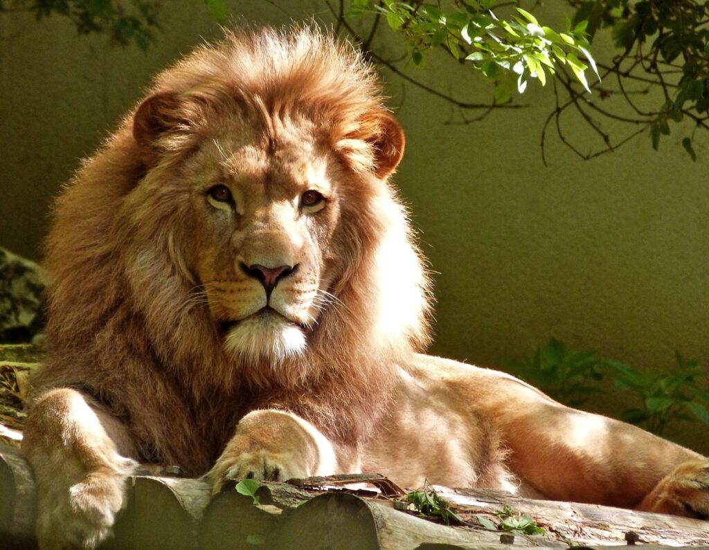 3_zoo_vyhodne