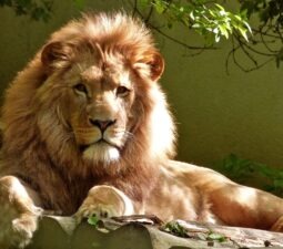 3_zoo_vyhodne