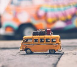 ck_real_max_tours